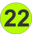 Number Twenty Two (22) Fluorescent Circle or Square Labels
